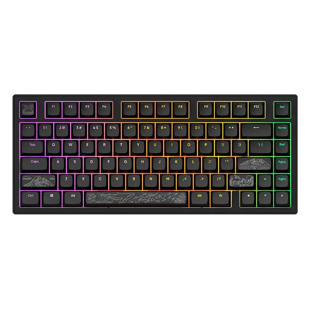 Dark Project ALU Terra Nostra R2 Black žična gejmerska tastatura ANSI RGB